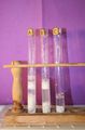 gal/LES_CINQUIEMES/ACTIVITE DIGESTION IN VITRO/Groupe_05/Groupe05_T_00h50min/_thb_Groupe05_T_00h_50min_25.JPG